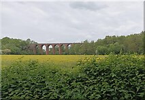SO7038 : Ledbury Viaduct by Pebble