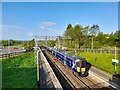 385107 at Greenfaulds