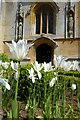 SP0327 : Tulips and the chapel by Philip Halling