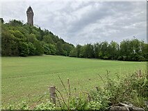 NS8095 : The Wallace Monument by Dave Thompson