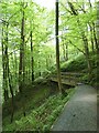 Footbridge on the upper  path on the right bank