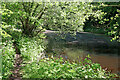 Poolside footpath in Pendeford Mill Nature Reserve, Staffordshire