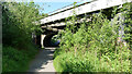 The Calder Valley Greenway passing under Dalton Bank Road, Huddersfield