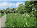 Path through the Brierdene, Whitley Bay