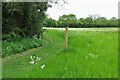 Footpath towards Wood Hall