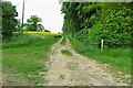 Footpath to Arkesden by Wood Hall