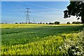 TL4932 : Farmland and pylons south of the B1038 by Philip Jeffrey