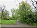 Cycle path following route of former railway