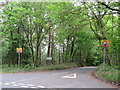 Dyehouse Road, near Thursley, Surrey