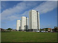 Seaton Tower Blocks