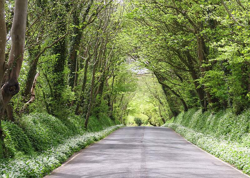 Country Road Anne Burgess Geograph Britain And Ireland