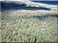 Warren Plantation from the air