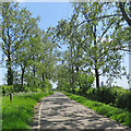 The road from Langley to Duddenhoe End