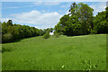 Pasture, Hurstbourne Tarrant