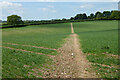 Farmland, St Mary Bourne