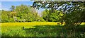 Watermeadows along the River Fromus, Benhall Green