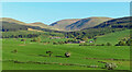NX3296 : North Balloch view by Mary and Angus Hogg
