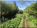 Montgomery Canal and towpath