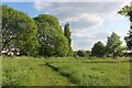 Park in Keresley Heath