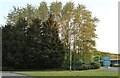 Wooded roundabout on South Way, Daventry