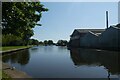 Canal near Marsh End Bridge