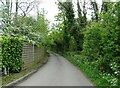 Looms Lane towards Debach