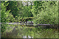 SJ8903 : Main pool in Pendeford Mill Nature Reserve, Staffordshire by Roger  D Kidd