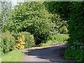 Road remnant west of Covern Heath in Staffordshire