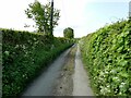 Quiet rural lane in Powys