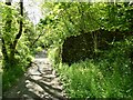 Walled enclosure in a wooded valley