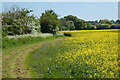 Farmland, Long Crendon