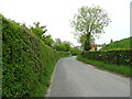 Framlingham Road towards Laxfield