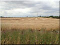 Part-harvested wheat field, near Marston