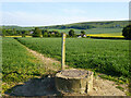 Path junction and manhole in middle of field