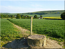 TQ4007 : Path junction and manhole in middle of field by Robin Webster