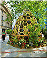 SJ8398 : Manchester Flower Festival, The Hive in St Ann's Square by David Dixon