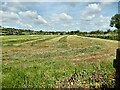 S4273 : Hay Field by kevin higgins