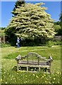 Wedding cake tree