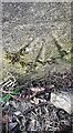 Benchmark on pier of boundary wall of cemetery on south side of Tyne View Road