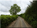 Ferry Road towards Orford