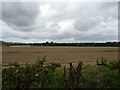 Furrowed field near Hill Farm