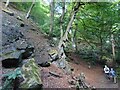 SD6226 : Hoghton Gorge by Greum