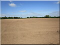 Prepared field near The Folly