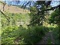 Path descending towards Blaenrhondda