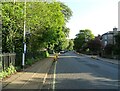 Bus stop on Westerfield Road (B1077)