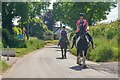 Uplowman : Country Lane