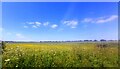 Fields North of Salisbury