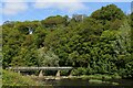 NZ2947 : Footbridge at Finchale Priory by Chris Heaton
