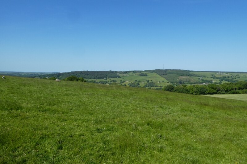 Fields above Dob Park Road © DS Pugh :: Geograph Britain and Ireland