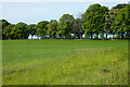 Farmland, Hilmarton